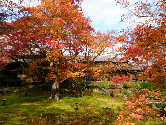 今日は(12/4)は嵐山_e0106372_16193519.jpg