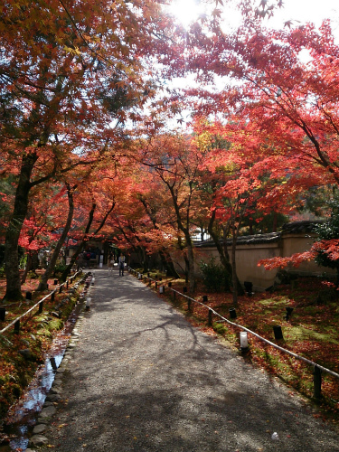 今日は(12/4)は嵐山_e0106372_16194460.jpg