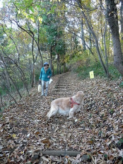 長池公園再び_e0133780_23100123.jpg