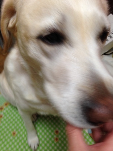 f0315081_11205054.jpeg