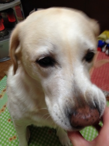 f0315081_11213304.jpeg