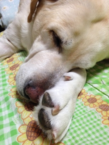 f0315081_11224470.jpeg