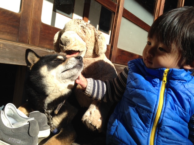 12月4日 イタズラ坊主_d0171384_14231388.jpg