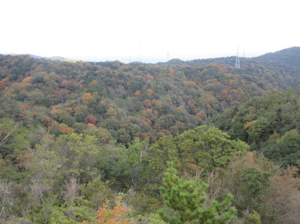 f0053885_20280758.jpg
