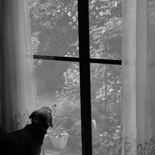 c0168986_11150658.jpeg