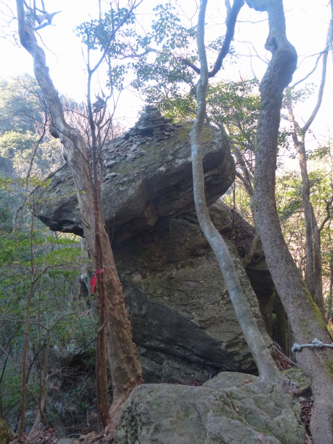 八方ヶ岳（１０５２ｍ）に登りました。_f0357487_2248621.jpg