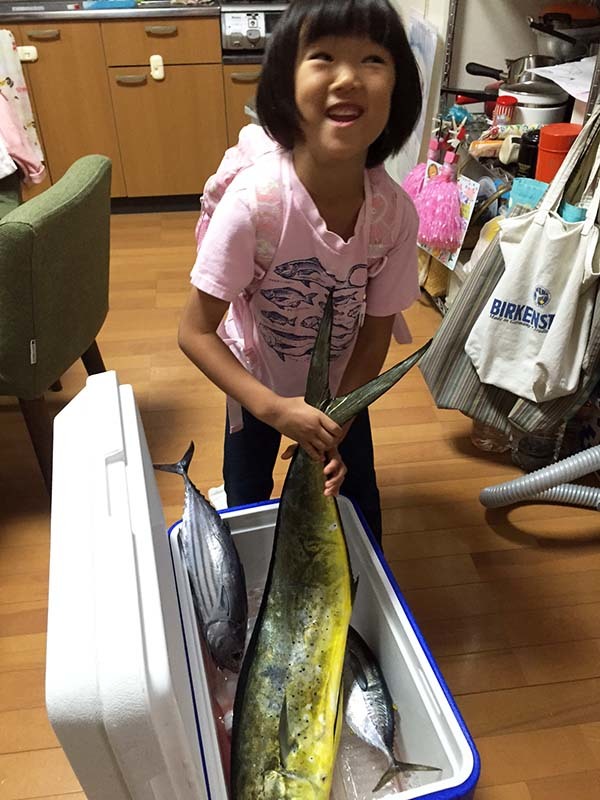 シイラでおかず カツオとマグロもね トキシンのイラストレーター的 沖縄 生活 シイラでおかず カツオとマグロもね トキシンのイラストレーター的 沖縄 生活
