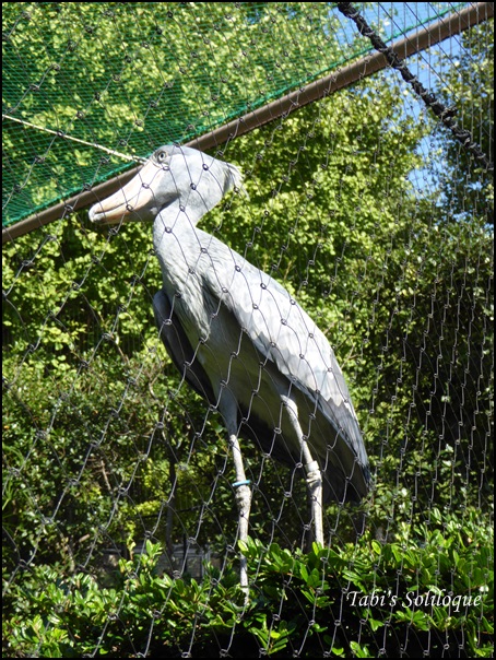 d0140490_15305425.jpg