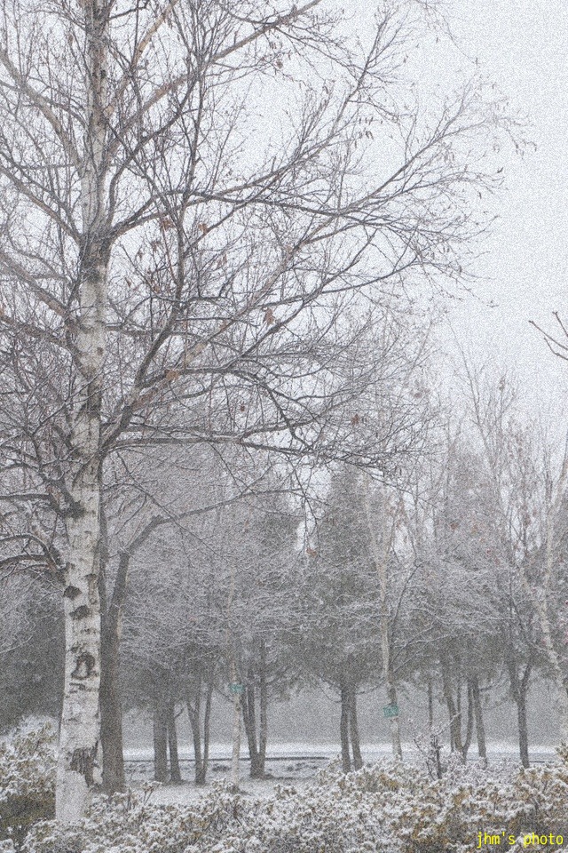 雪景色と吹雪景色 I Shall Be Released 雪景色と吹雪景色 I Shall Be Released