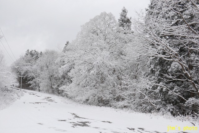 雪景色と吹雪景色 I Shall Be Released 雪景色と吹雪景色 I Shall Be Released
