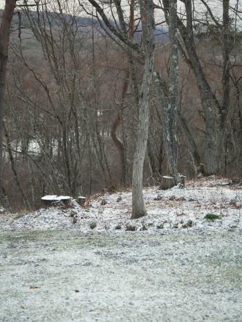 c0090198_15342540.jpg