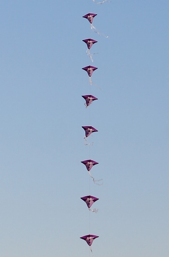 c0204298_18233022.jpg
