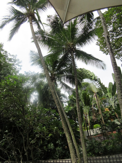 c0212604_5475579.jpg