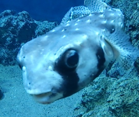 d0299604_19243942.jpg