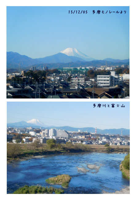 孫の学習発表会、忘年会~元職場へ_c0051105_22331860.jpg