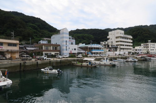 海界の村を歩く 瀬戸内海 魚島(愛媛県上島町)_d0147406_14124759.jpg