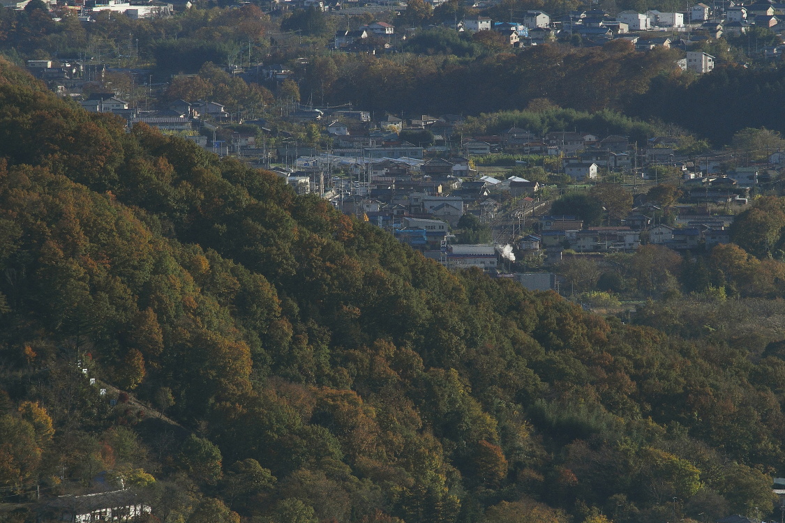 午後の紅葉 - 2015年晩秋・秩父 - _b0190710_21332100.jpg