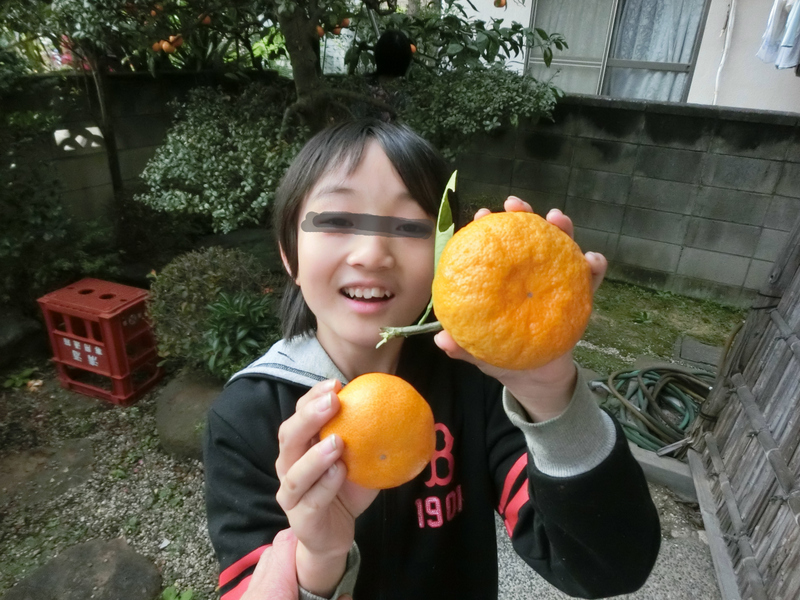 11月29日(日) NO2 今年も豊作_d0278912_00204341.jpg