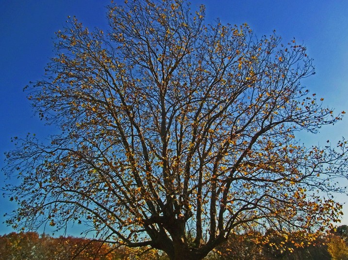 c0190915_19203590.jpg