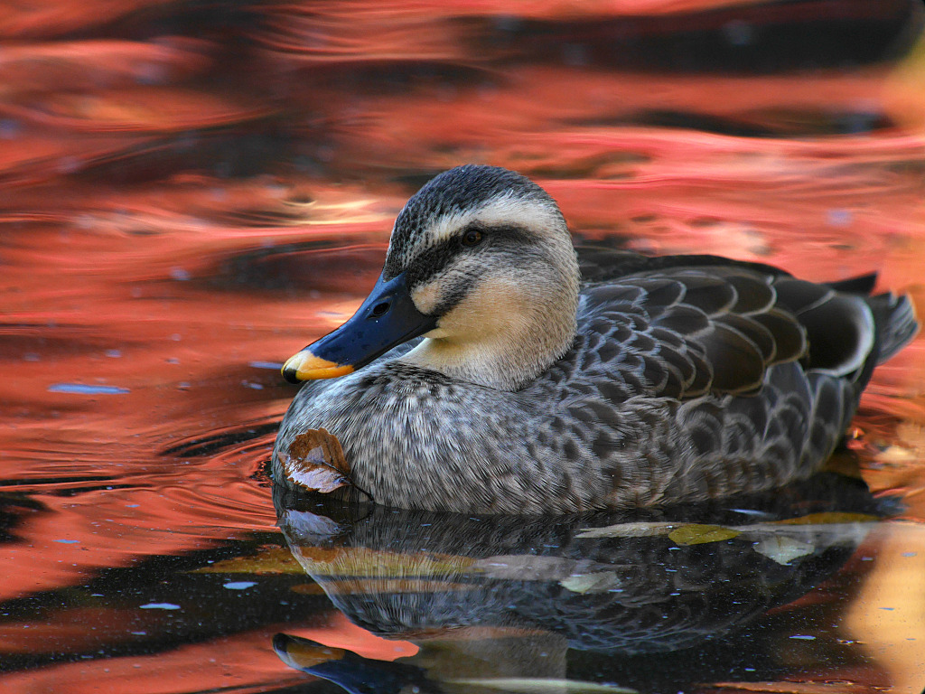 12/5 U公園にて_f0051915_22183521.jpg