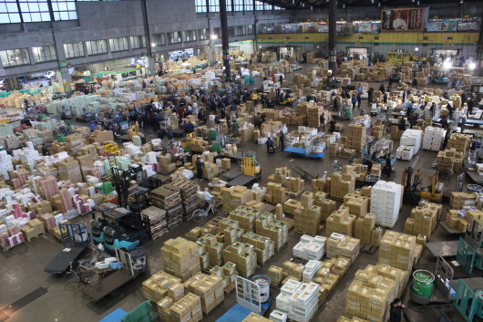 東京都中央卸売市場 太田市場へ_c0141025_01255207.jpg