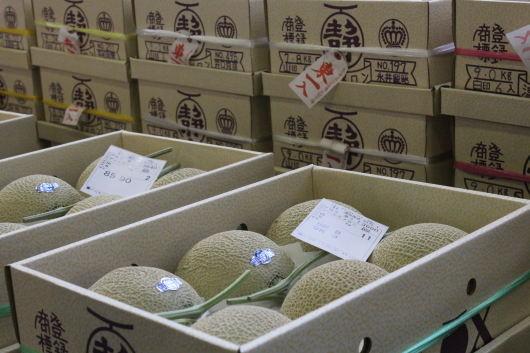 東京都中央卸売市場 太田市場へ_c0141025_01264842.jpg