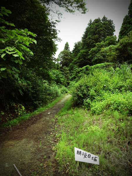 『大地の芸術祭 越後妻有アートトリエンナーレ2015』 その25_e0192725_22385574.jpg