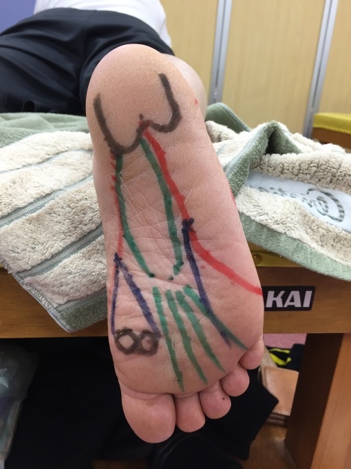 第19回運動器系体表解剖セミナーBコース東京会場(1回目)_b0329026_20464467.jpg