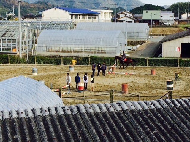c0117028_16114345.jpg