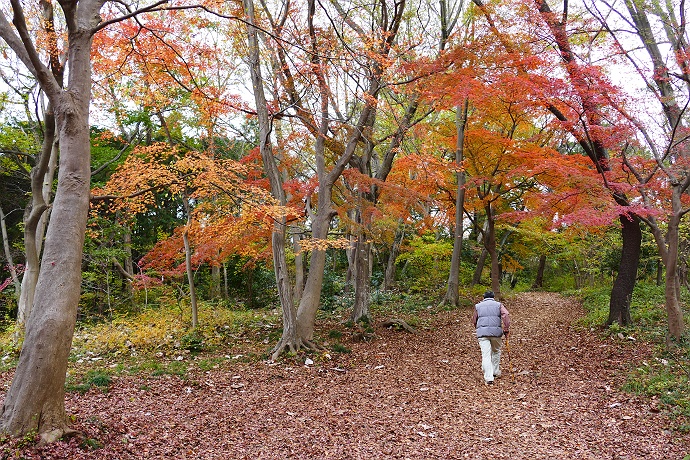 久々に山の怖さを知った檜洞丸・犬越路ルート　その３_c0196928_663391.jpg