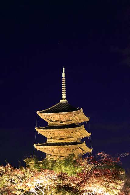 紅葉の京都2015 －紅葉彩る東寺 夜間特別拝観（後編）－_b0169330_19163335.jpg