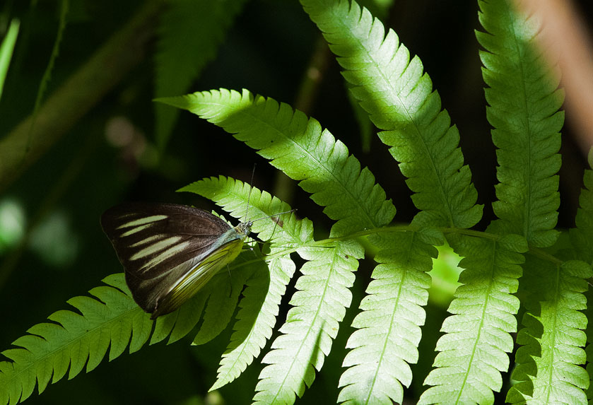 a0126632_16564790.jpg