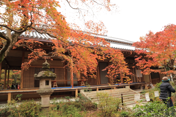 f0229832_1318542.jpg