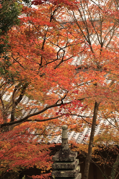 f0229832_13294232.jpg