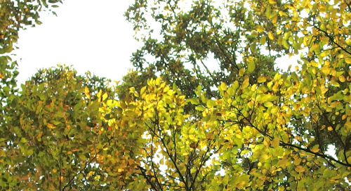 b0246533_16041961.jpg