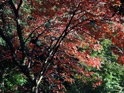d0037233_15071185.jpg