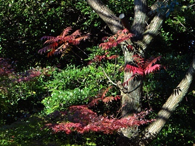 d0037233_15072617.jpg