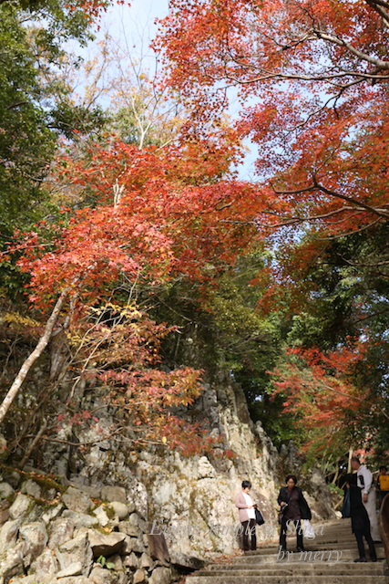 a0207736_2215448.jpg