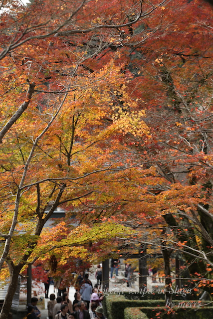 a0207736_2303398.jpg