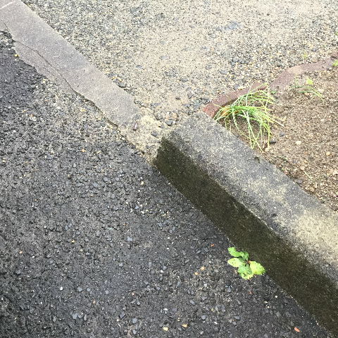 f0031037_2055967.jpg