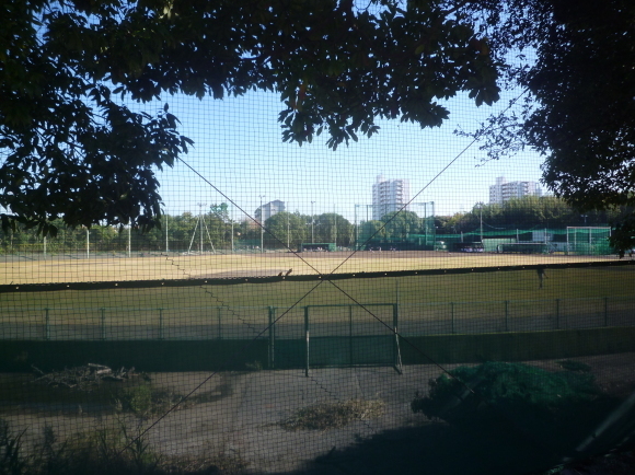 落ちたところ_b0217741_00084634.jpg