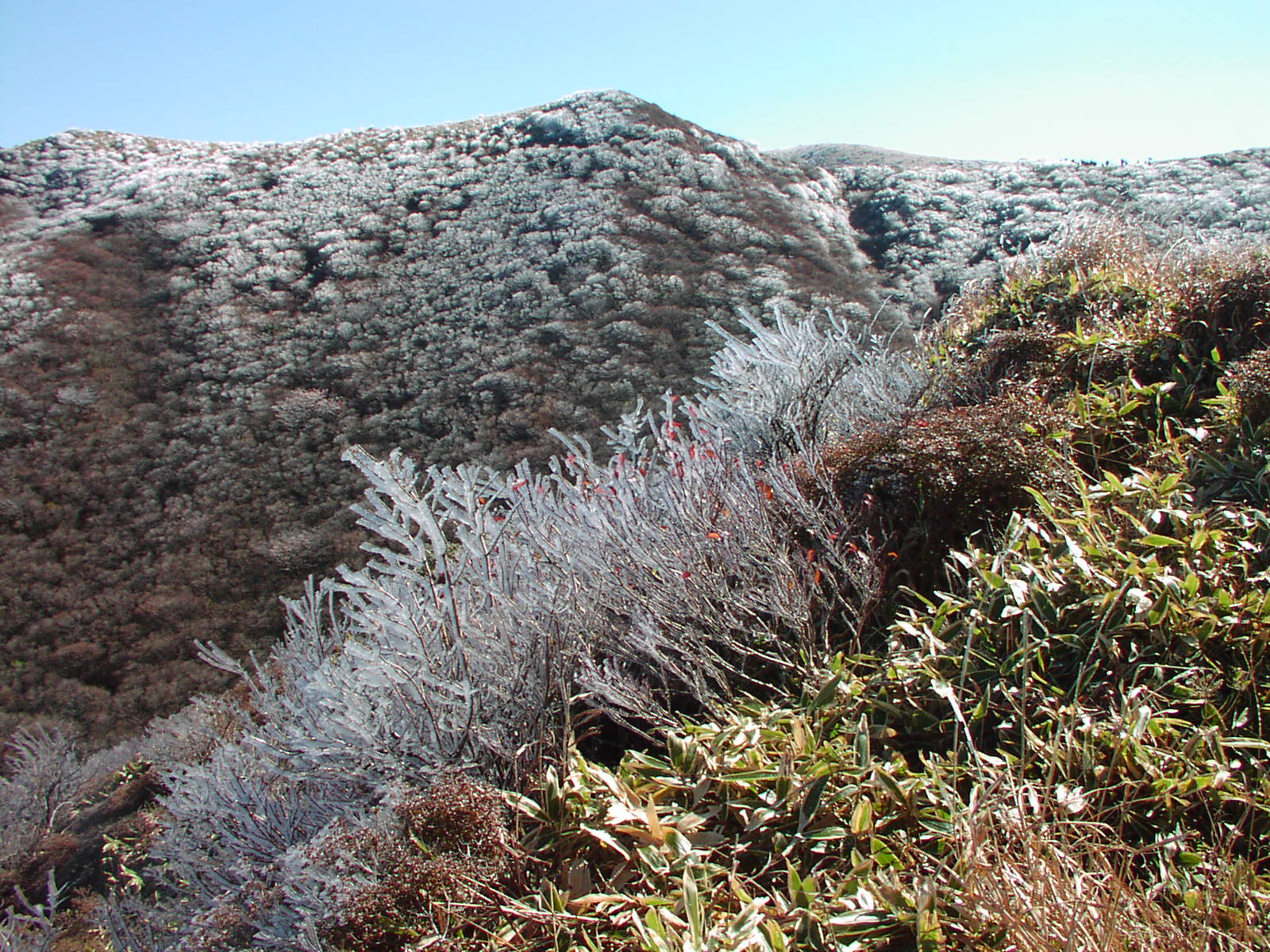 c0281841_14375178.jpg