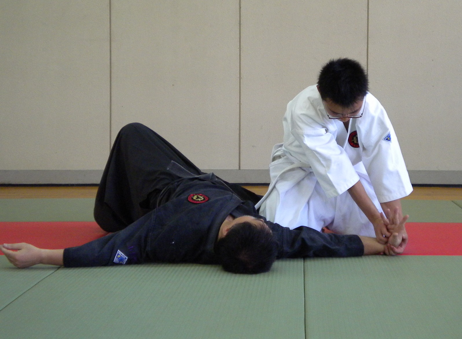 甲州伝渋川流柔術復元 10 国際水月塾武術協会 International Suigetsujuku Bujutsu Association
