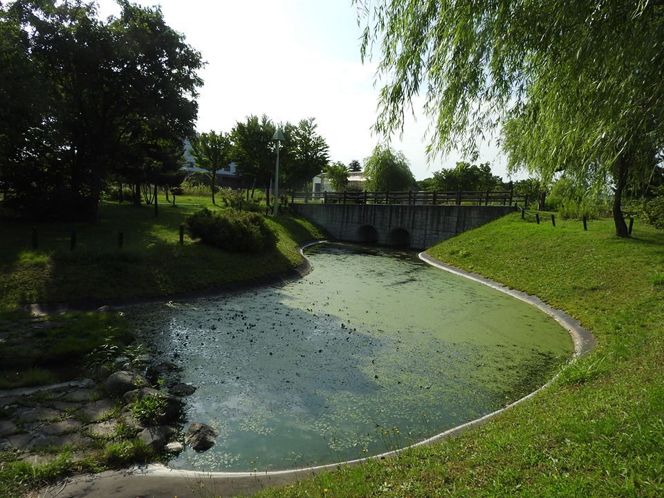 ふるさと公園(ケビン村 VILLA徳富)／新十津川町_c0319645_15121372.jpg