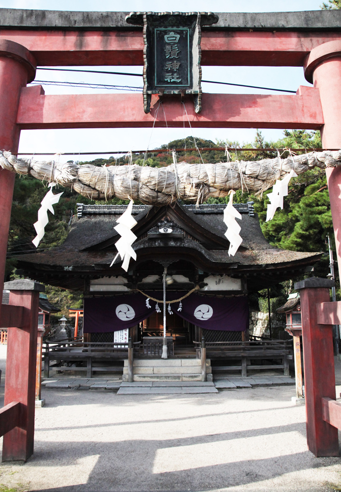 滋賀県高島市　白髭神社（しらひげ）　湖中大鳥居_c0108146_21472685.jpg