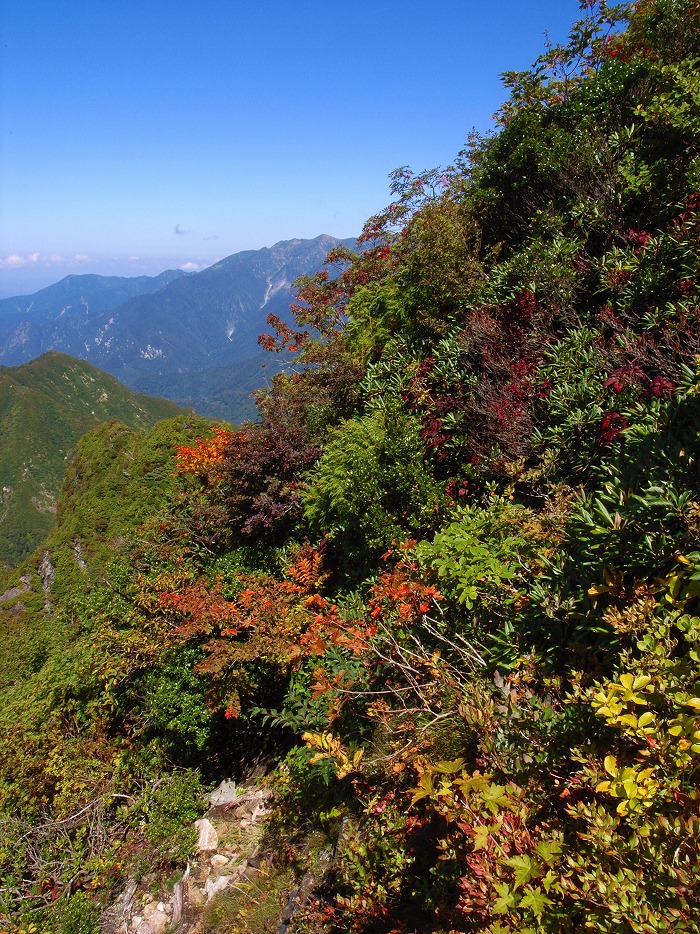 トレッキング2015　その14／大源太山_e0031346_2249721.jpg