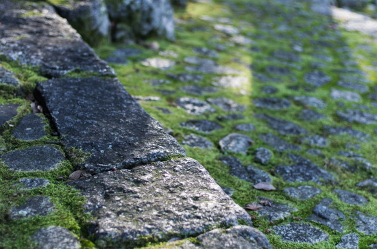 KYOTO#7_b0150549_11551033.jpg