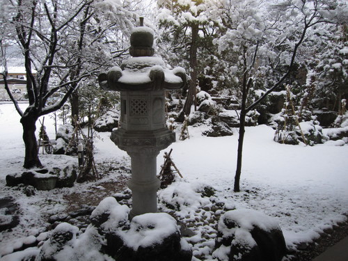 いよいよ冬本番です(^○^)_d0138554_11262134.jpg