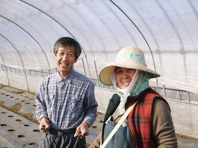新鮮野菜スティックにも大好評!朝採りキュウリ、セロリ、ニンジン販売中!!_a0254656_1025561.jpg