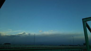 a0096557_1736987.jpg